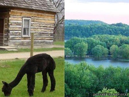 Galena Log Cabin Getaway ภายนอก รูปภาพ